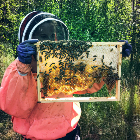 O pszczelarstwie naturalnym